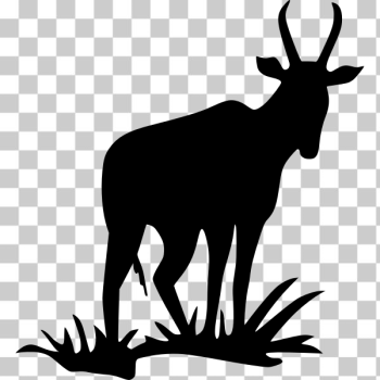 SVG Antelope silhouette SVG Antelope silhouette