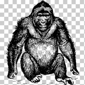 SVG ape 3 SVG ape 3