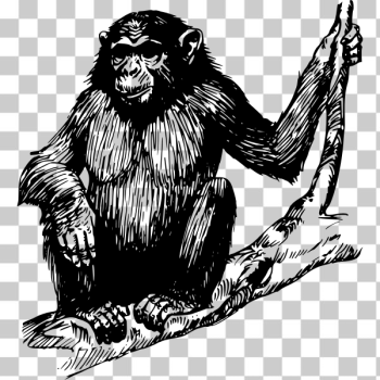SVG Ape sitting SVG Ape sitting