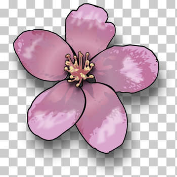 SVG Apple blossom vector clip art SVG Apple blossom vector clip art