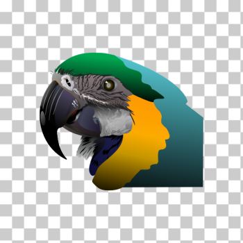 SVG Ara SVG Ara
