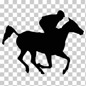 SVG Arabian racehorse SVG Arabian racehorse