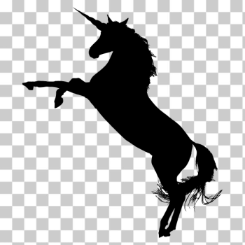 SVG Arabian unicorn silhouette SVG Arabian unicorn silhouette