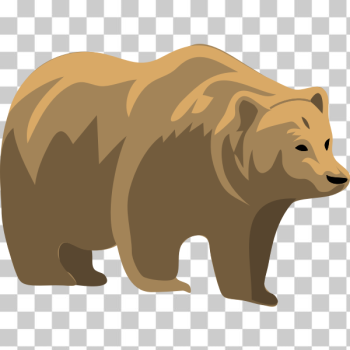 SVG Architetto -- orso 12