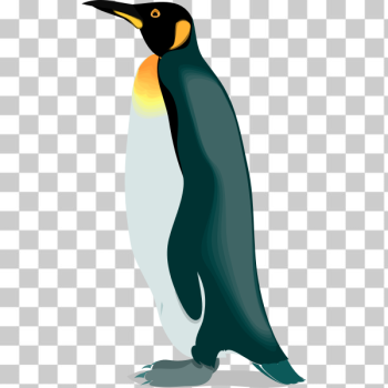 SVG Architetto -- pinguino 4 SVG Architetto -- pinguino 4