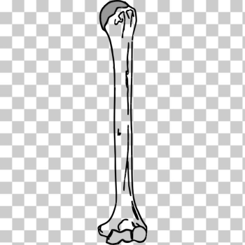 SVG Arm bone SVG Arm bone