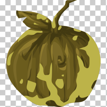SVG artifact wooden apple SVG artifact wooden apple
