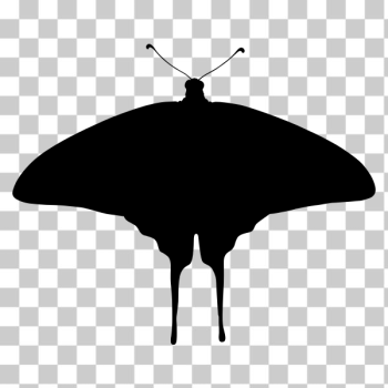 SVG Arty butterfly SVG Arty butterfly