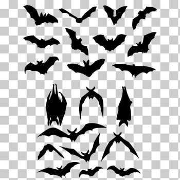 SVG Assortment of Bats Silhouettes