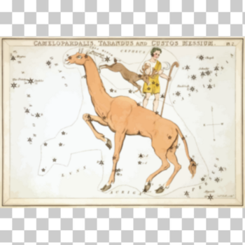 SVG Astronomy card