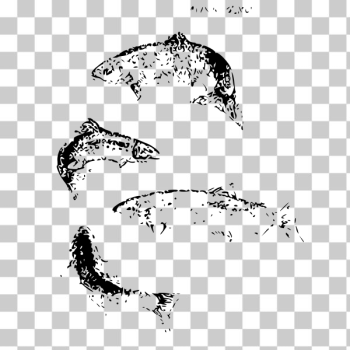 SVG Atlantic salmons vector clip art SVG Atlantic salmons vector clip art
