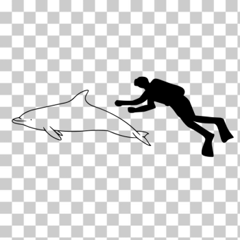 SVG atlantic spotted dolphin SVG atlantic spotted dolphin