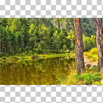 SVG Autumn Lake Reflection SVG Autumn Lake Reflection