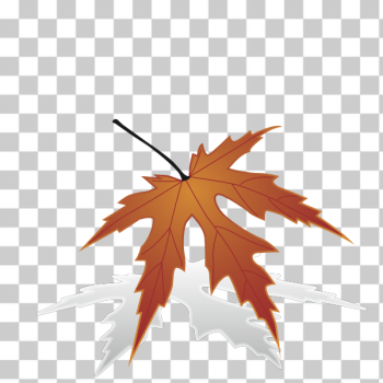 SVG Autumn leaf SVG Autumn leaf
