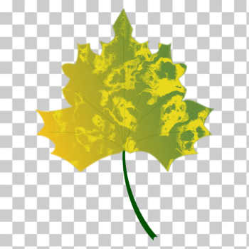SVG Autumn Leaf 1 SVG Autumn Leaf 1
