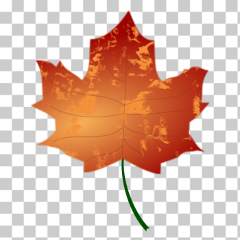 SVG Autumn Leaf 3 SVG Autumn Leaf 3