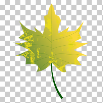 SVG Autumn Leaf 6 SVG Autumn Leaf 6