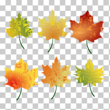 SVG Autumn Leaves SVG Autumn Leaves