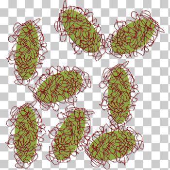 SVG Bacteria SVG Bacteria
