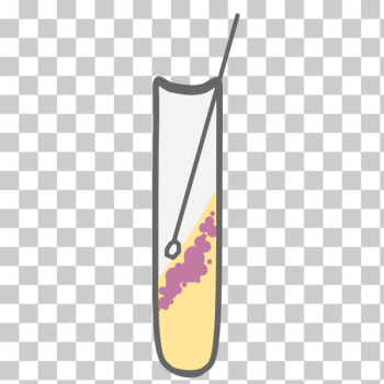 SVG Bacterial Culture Tube SVG Bacterial Culture Tube