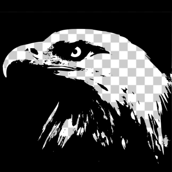 SVG Bald eagle image SVG Bald eagle image