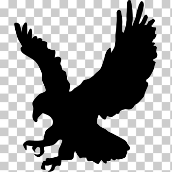 SVG Bald eagle silhouette vector illustration SVG Bald eagle silhouette vector illustration