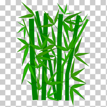 SVG Bamboo graphic