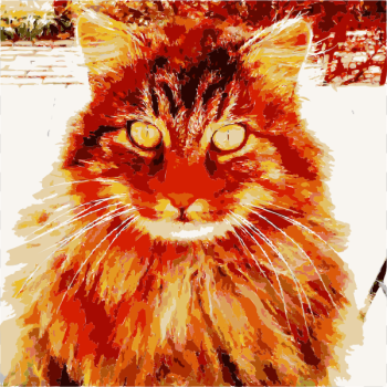 SVG Barack the cat says 2015011411 SVG Barack the cat says 2015011411