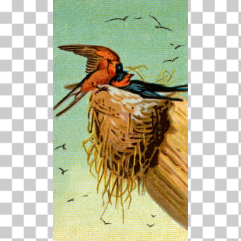 SVG Barn Swallow SVG Barn Swallow