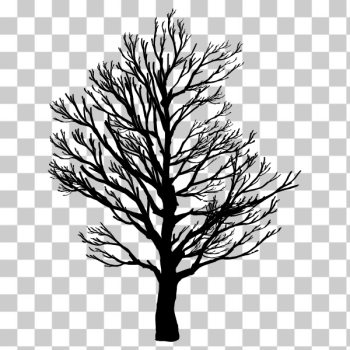 SVG Barren Tree Silhouette 2 SVG Barren Tree Silhouette 2