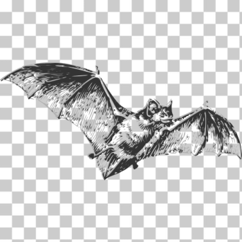 SVG bat SVG bat