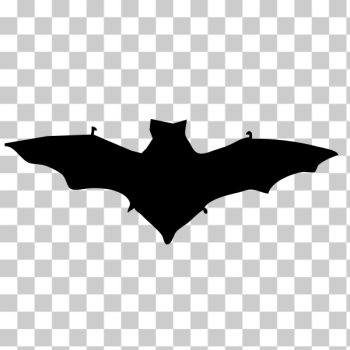SVG Bat silhouette SVG Bat silhouette