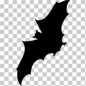 SVG Bat Silhouette-1574953835 SVG Bat Silhouette-1574953835