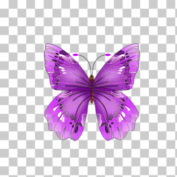 SVG Beautiful purple butterfly SVG Beautiful purple butterfly