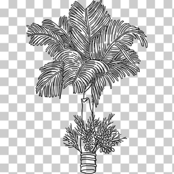 SVG Betel SVG Betel
