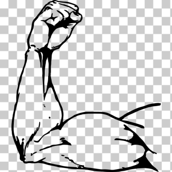 SVG Biceps Muscles SVG Biceps Muscles