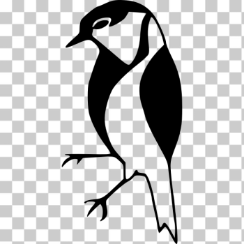 SVG bird SVG bird