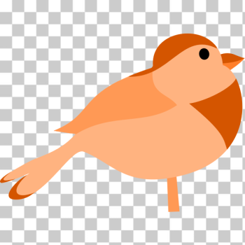 SVG Bird SVG Bird