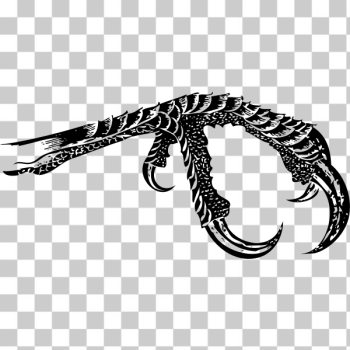 SVG Bird claw silhouette