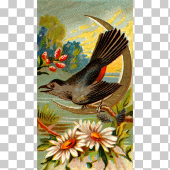 SVG Bird drawing SVG Bird drawing
