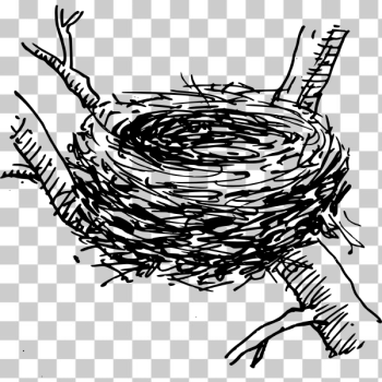 SVG Bird nest SVG Bird nest
