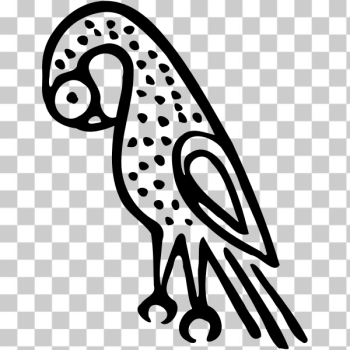 SVG Bird sketch SVG Bird sketch