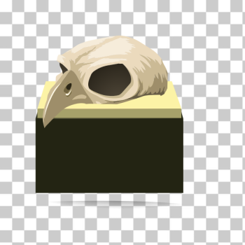 SVG Bird skull SVG Bird skull