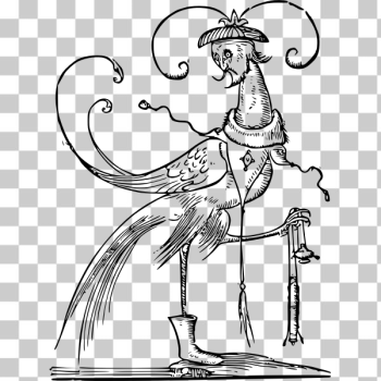 SVG Bizarre bird SVG Bizarre bird