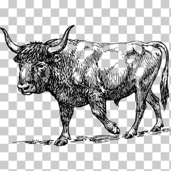 SVG Black and white bull SVG Black and white bull