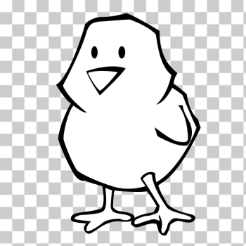 SVG Black and white chicken SVG Black and white chicken