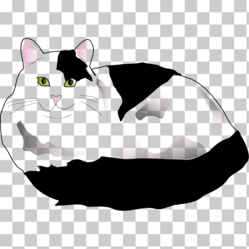 SVG Black and White Fluffy Cat SVG Black and White Fluffy Cat