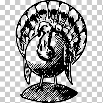 SVG Black and white turkey vector drawing SVG Black and white turkey vector drawing