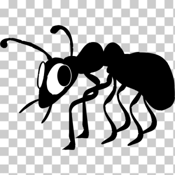 SVG Black ant SVG Black ant