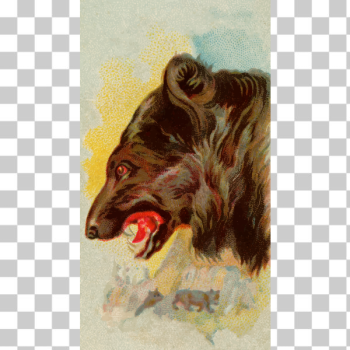 SVG Black bear SVG Black bear